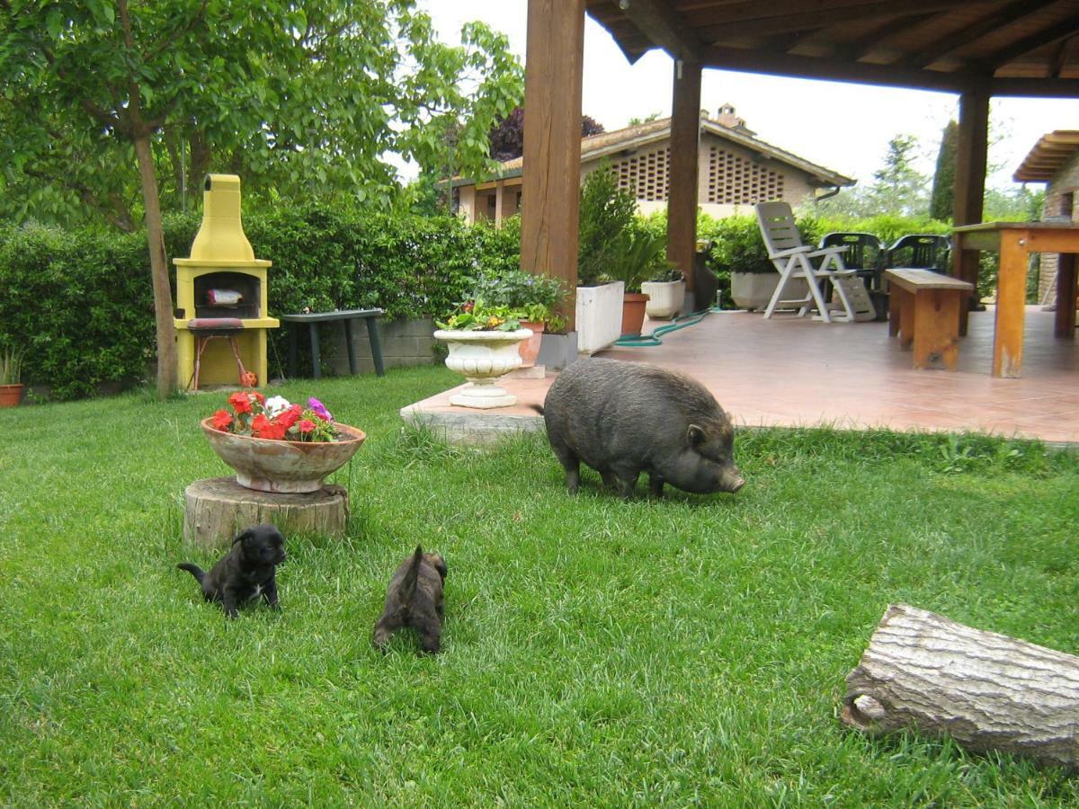 Hotel Il Poggio Pontedera Zewnętrze zdjęcie
